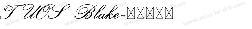 TUOS Blake字体转换